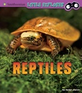 Cover: Reptiles: A 4D Book - Capstone Press