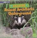 Cover: Amazing Animal Architects Underground - Pebble Books