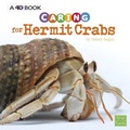 Cover: Caring for Hermit Crabs - Pebble Books