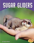 Cover: Sugar Gliders - Capstone Press