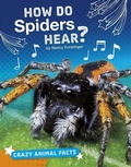Cover: How Do Spiders Hear? - Capstone Press
