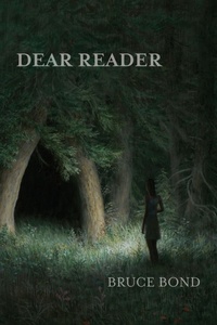 Enlarge image Cover: Dear Reader - Parlor Press
