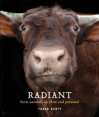 Abbildung von: Radiant - Princeton Architectural Press