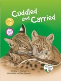 Cover: Cuddled and Carried - Platypus Media