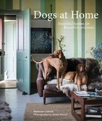 Abbildung von: Dogs at Home - Jacqui Small