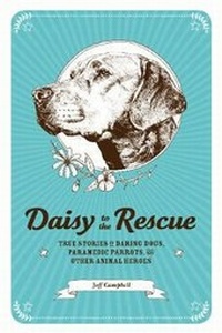 Enlarge image Cover: Daisy to the Rescue - Zest Books