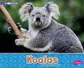 Cover: Koalas: A 4D Book - Capstone Press, Incorporated