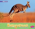 Cover: Kangaroos: A 4D Book - Capstone Press, Incorporated