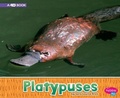 Cover: Platypuses: A 4D Book - Capstone Press, Incorporated