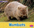 Cover: Wombats: A 4D Book - Capstone Press, Incorporated
