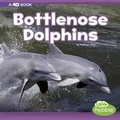 Cover: Bottlenose Dolphins: A 4D Book - Capstone Press, Incorporated