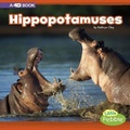 Cover: Hippopotamuses: A 4D Book - Capstone Press, Incorporated