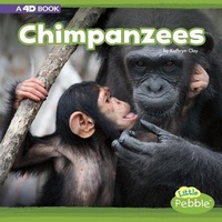 Enlarge image Cover: Chimpanzees: A 4D Book - Capstone Press, Incorporated