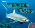 Cover: All About Sharks Thresher Sharks a 4D Book - Capstone Press