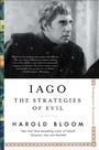 Cover: Iago - Scribner