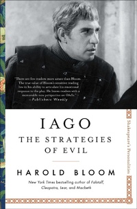 Enlarge image Cover: Iago: Volume 4 - Scribner