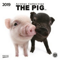 Abbildung von: The Pig (BK) 227619 2019 - Korsch Verlag