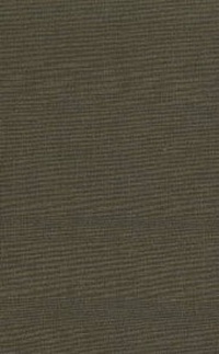 Enlarge image Cover: American Bypaths - Baylor University Press