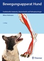 Bild: Bewegungsapparat Hund - Sonntag, J