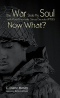 Cover: The War Stole My Soul with Post-Traumatic Stress Disorder (Ptsd): What Now? - Wipf & Stock Publishers