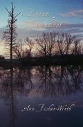 Cover: Dream Cabinet - Wings Press