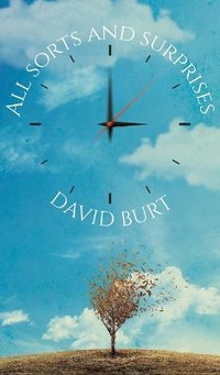 Enlarge image Cover: All Sorts and Surprises - Austin Macauley Publishers