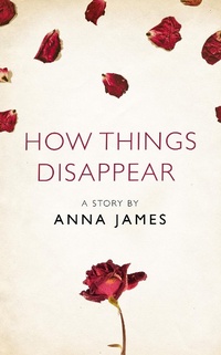 Enlarge image Cover: How Things Disappear - The Borough Press