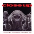Cover: Close Up - Bungalo Books