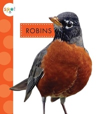 Enlarge image Cover: Robins - Spot