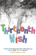 Cover: Thirteenth Wish - Matador