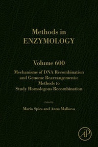 Abbildung von: Mechanisms of DNA Recombination and Genome Rearrangements: Methods to Study Homologous Recombination - Academic Press