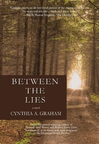 Enlarge image Cover: Between the Lies - Amphorae Publishing Group LLC