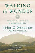 Cover: Walking in Wonder - Convergent