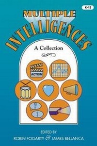 Enlarge image Cover: Multiple Intelligences - IRI Skylight Training