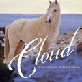 Cover: Cloud - Happy Fox Books