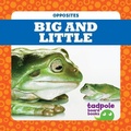 Cover: Big and Little - Tadpole Books