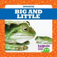 Enlarge image Cover: Big and Little - Tadpole Books