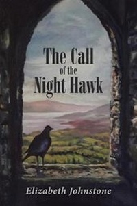 Enlarge image Cover: The Call of the Night Hawk - Christian Faith Publishing, Inc.
