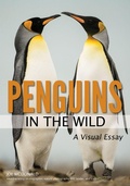 Cover: Penguins In The Wild - Amherst Media