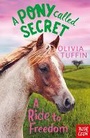 Cover: A Pony Called Secret: A Ride To Freedom - Nosy Crow Ltd