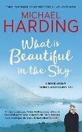 Cover: What is Beautiful in the Sky - Hachette Books Ireland