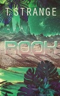 Cover: Rook - Less Than Three Press