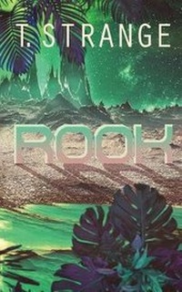 Enlarge image Cover: Rook - Less Than Three Press