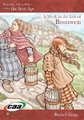 Cover: Everyday Life in Wales in the Iron Age - CAA Cymru