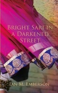 Cover: Bright Sari in a Darkened Street - 2QT Limited (Publishing)