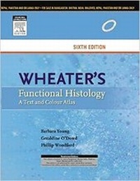 Enlarge image Cover: Wheater's Functional Histology, 6e - Elsevier