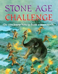 Enlarge image Cover: Stone Age - Q-files.com