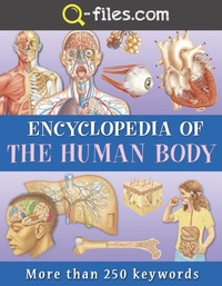 Enlarge image Cover: Human Body - Q-files.com