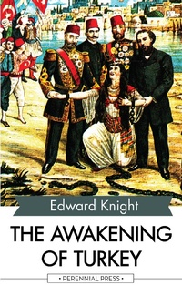 Enlarge image Cover: The Awakening of Turkey - Perennial Press