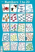 Cover: Numbers 1 - 20 - Collins